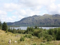 2096_o-schottland1Bild 483.jpg